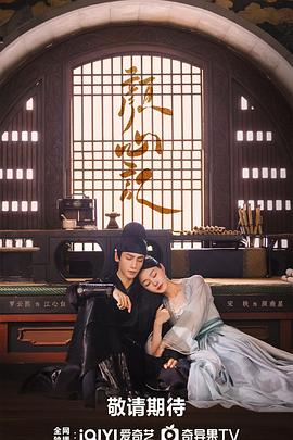 招远seo搜索优化